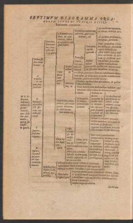 Septimum Diagramma Organorum Supremi Ventris Distributionem continens.
