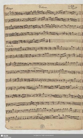 Violono