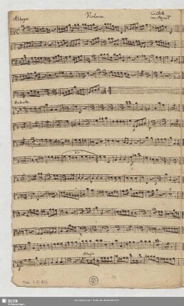 Violono