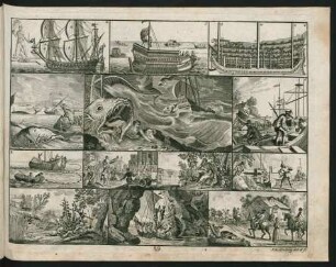 Tafel 29.