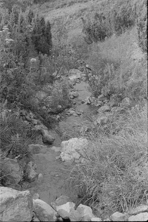 Čičmany. Akt-Pleinair 1980. Bach