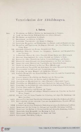 Verzeichniss der Abbildungen