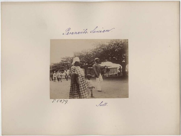 Street scene in Paramaribo