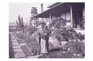 Yokohama. Botanischer Garten. Japanerin mit Kind auf dem Rücken im Bonsaigarten vor einem Gebäude