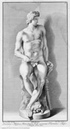 Statuae insigniores a Io. Iust. Preislero in Italico itenere delineatae, Norimbergae : Ge. Mart. Preisler, 1736Taf. 15: Apollo - J.J. Preisler, Statue insigniores
