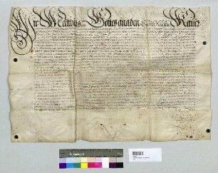 Kaiser Mathias belehnt Bischof Albert von Regensburg mit den Regalien des Hochstiftes Regensburg. S: A
