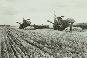 Russland, bei Rostow, Weizenernte mit Mähdreschern