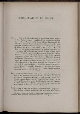 Spiegazione Delle Figure