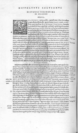 Historia Sexagesima. De Melanuro