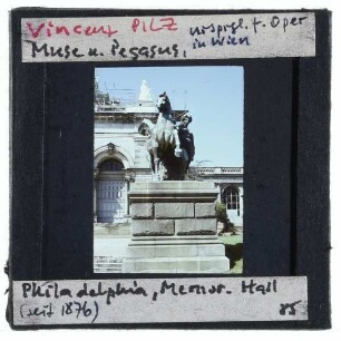 Philadelphia, Pilz, Pegasus