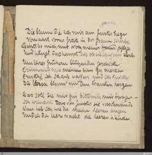 Die blume die ich mir am fenster hege : [SW IV: S]; [SW IV, S. 31/135]