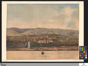 Ansicht der Haupt und ersten Residenz-Stadt Stuttgart von der Morgen Seite