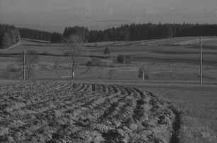 Höchenschwand: Alpenblick von Höchenschwand, Vordergrund Acker