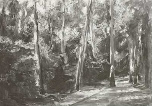 Parkweg