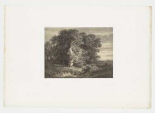 Landschaft mit Bäumen, Blatt 56 der Folge "Werke"
