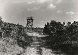 Erzgebirge. Großer Kranichsee nordöstlich von Graßlitz. Knüppelweg und Aussichtsgerüst des Erzgebirgsvereiens