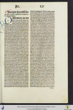 Speculum beate marie virginis