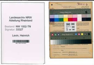 Entnazifizierung Heinrich Levin , geb. 24.03.1907 (Spediteur)