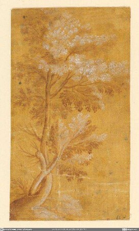 Blühender Baum