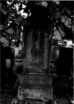 Grabstein 228