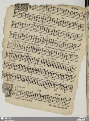 XVI. Gaudent in coelis