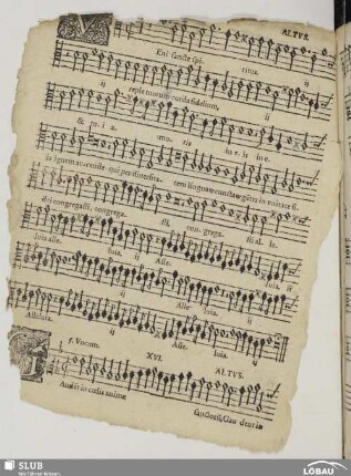 XVI. Gaudent in coelis