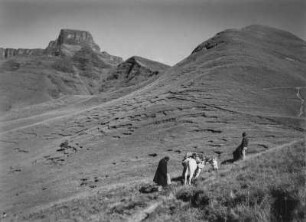 Die Drakensberge : Der Gipfel des Sentinel in den nördlichen KwaZulu-Natal-Drakensbergen. Im Bildvordergrund zwei Männer und ihr Packtier