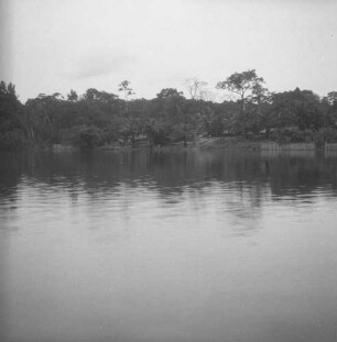 Ufer : Blick auf das Ufer des Mbini