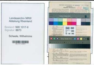 Entnazifizierung Wilhelmine Scheele , geb. 09.04.1889 ()