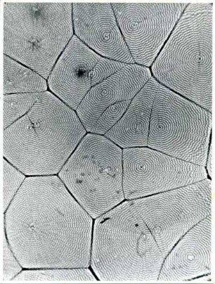 Vitamin C, ca. 180-fach vergrößert, Mikrofotografie