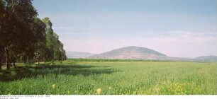 Israel: Tabor