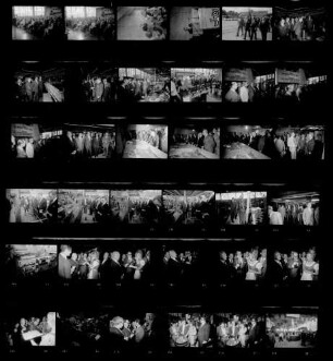Intervitis '72 - Weinbauausstellung, 19.08.-27.08.1972, Messe Stuttgart-Killesberg (5)