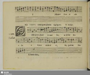 XXIX. Stoltzer, Thomas: Omnes gentes plaudite