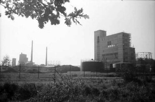 Freiburg: Neubau, ohne Wald