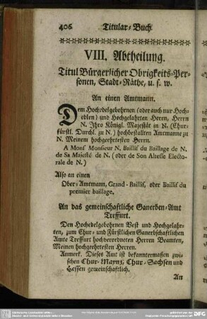 VIII. Abtheilung. Titul Bürgerlicher Obrigkeits-Personen, Stadt-Räthe u. s. w.