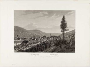 Heidelberg, Stadt und Schloss von Südwesten