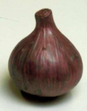 Zwiebel