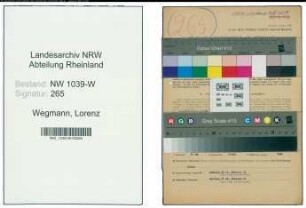 Entnazifizierung Lorenz Wegmann , geb. 28.09.1892 (Abteilungspfleger)