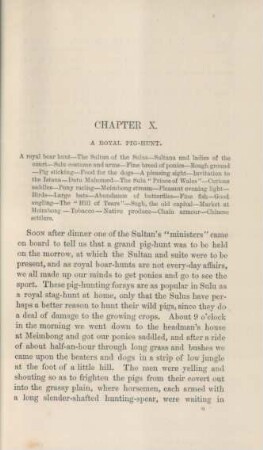 Chapter X. A royal pig-hunt