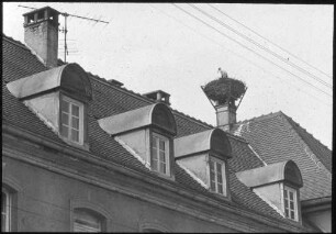 Storchennest auf Schornstein