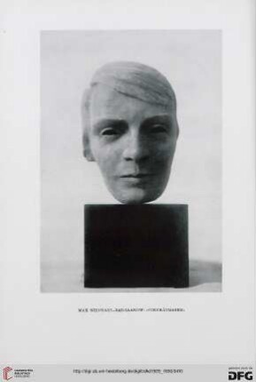 Max Nienhaus