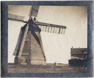 Vitte (Insel Hiddensee). Schwarze Mühle, Erdholländer
