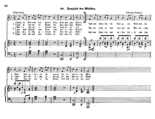 Tanzlied der Mücken