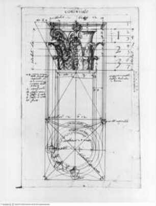 Trattato dell' ordine cinquen e dell' architettura civile, Die Korinthische Ordnung, Kapitell