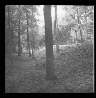 Viereckschanze bei Bütthard