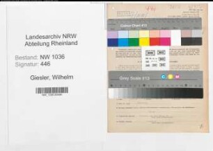 Entnazifizierung Wilhelm Giesler , geb. 04.02.1905 (Steiger)