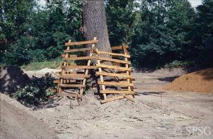 Königs Wusterhausen, Dokumentation zur Wiederherstellung, nicht gefällte Eiche im Parterre.