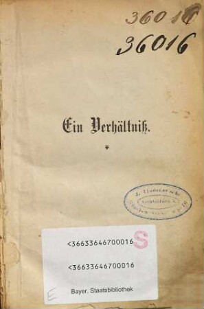 Ein Verhältniss : Roman von Karl von Perfall