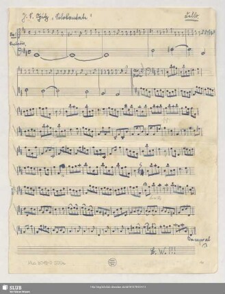 Cello