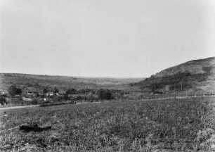 Stufenland bei Santa Maria da Serra : Stufiges Grasland mit einzelnen Bäumen mit einer Siedlung links in der Nähe von Santa Maria da Serra. Im Mittelgrund verläuft eine Straße.